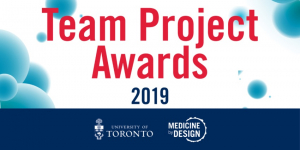 Team Project Award logo