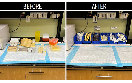 Before and after pics of a messy lab