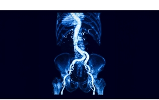 scientific image